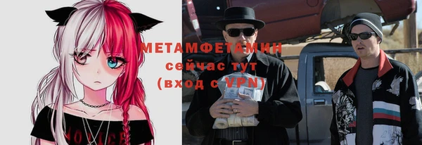 сатива Карпинск