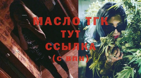 сатива Карпинск