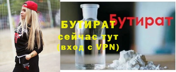 сатива Карпинск