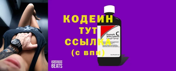 сатива Карпинск