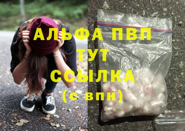 сатива Карпинск