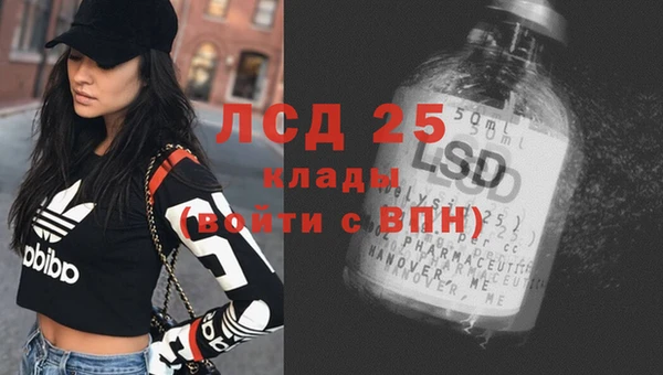 сатива Карпинск
