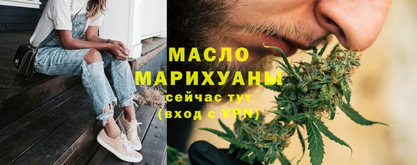 сатива Карпинск
