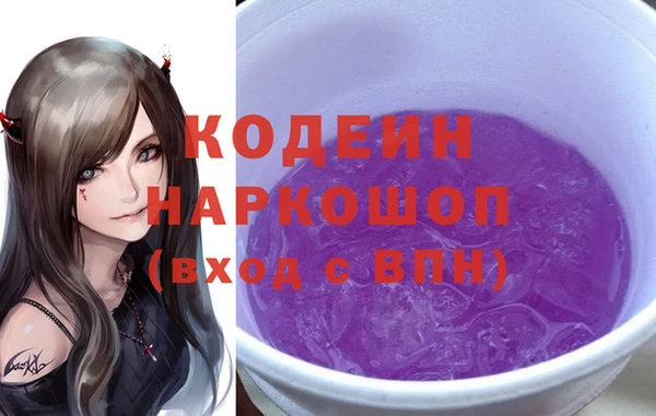 гидра Каменка