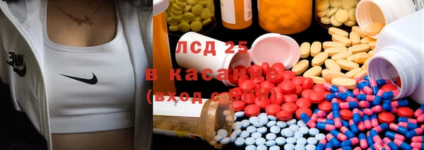 сатива Карпинск