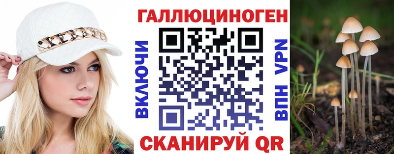 Псилоцибиновые грибы Psilocybine cubensis  гидра как зайти  Дмитров 