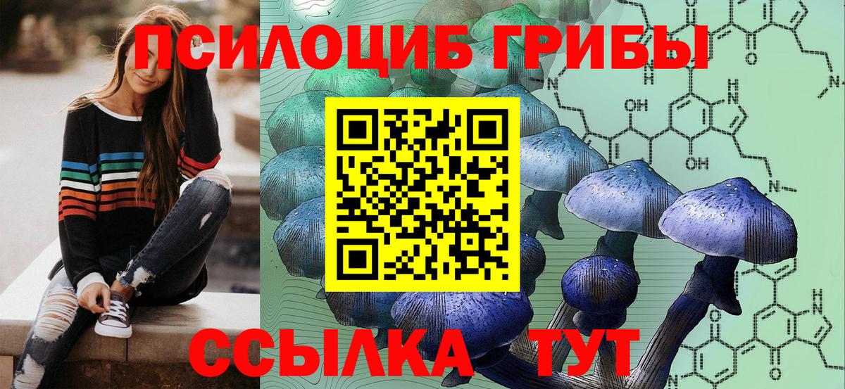 Псилоцибиновые грибы MAGIC MUSHROOMS Дмитров