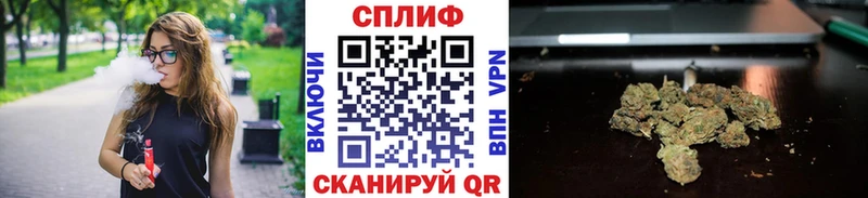 Каннабис план  Дмитров 